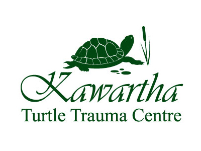 Kawartha Turtle Trauma Centre
