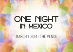 One Night in Mexico